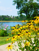 Flowers and Lake 1 Small.jpg